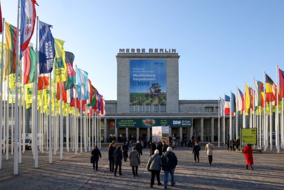 Der Nordeingang der Messe Berlin vor blauem Himmel. Links und rechts wehen Flaggen verschiedener Länder.